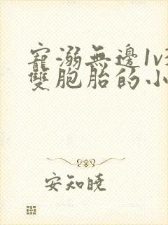 宠溺无边1v3双胞胎的小说