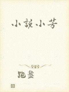 小说小芳