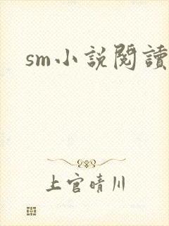 sm小说阅读