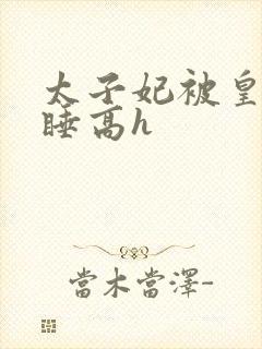 太子妃被皇上强睡高h