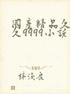 国产精品久久久久9999小说