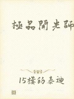 极品开光师