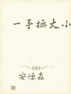 一手抚大小说