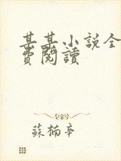 某某小说全文免费阅读