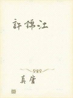 《许锦江》小说封面