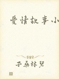爱情故事小说