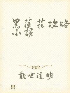 黑莲花攻略手册小说