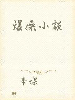 爆操小说