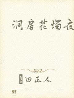 洞房花烛夜小说