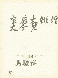 家庭大杂烩小说大全儿