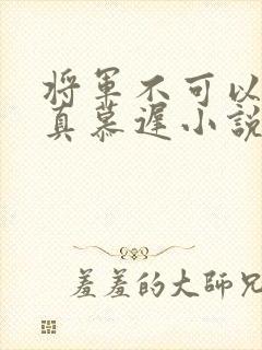 将军不可以魏云真慕迟小说笔趣阁