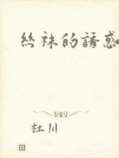 丝袜的诱惑小说