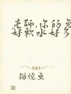 老师,你的兔子好软水好多