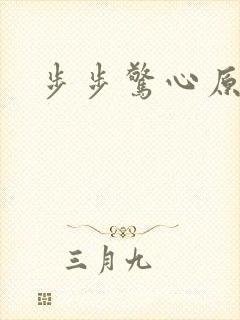 步步惊心原著封面