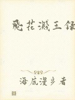 飞花溅玉录