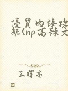 优质肉棒攻略系统(np高辣文)