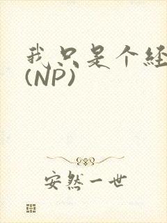 我只是个经纪人(NP)