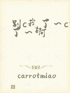 别c我了～c烂了～啊