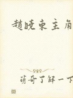 赵晓东主角小说