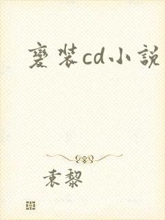 变装cd小说
