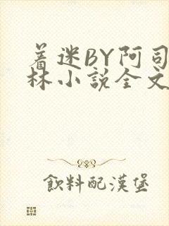 着迷BY阿司匹林小说全文免费阅读