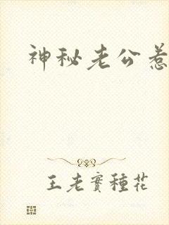 神秘老公惹不起