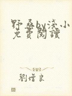 野桑by浅小说免费阅读