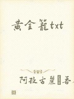 黄金笼txt