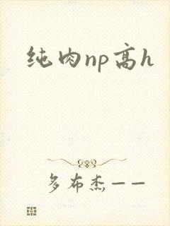 纯肉np高h