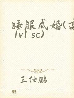 睡服成婚(高h 1v1 sc)