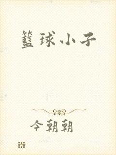 篮球小子