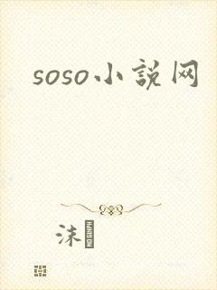 soso小说网