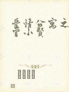 爱情公寓之极品曾小贤