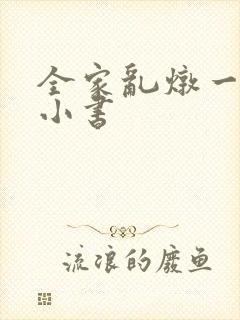 全家乱炖一锅烩小书