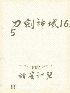 刀剑神域16.5