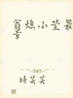 翁熄小莹最新节章