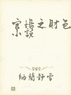 官场之财色诱人小说