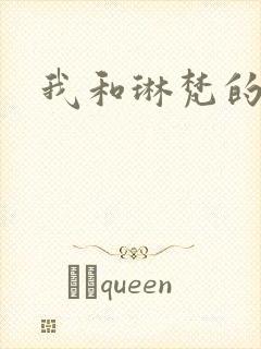 我和琳梵的故事