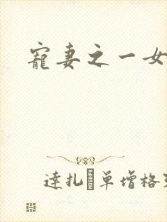 宠妻之一女二夫