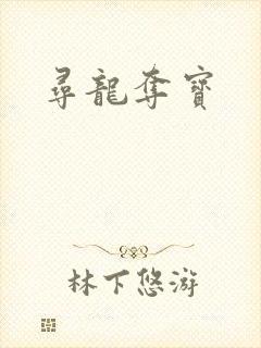 寻龙夺宝