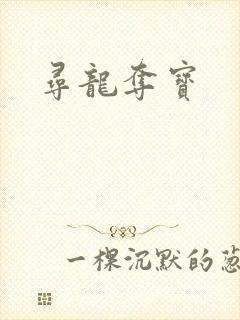 寻龙夺宝