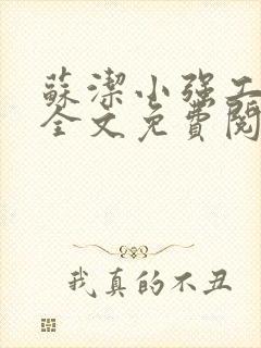 苏洁小强工地情全文免费阅读