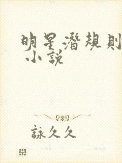 明星潜规则之皇 小说