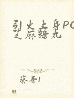 引火上身POP芝麻糖丸