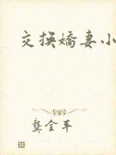 交换娇妻小说