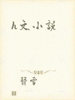 h文小说