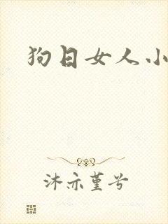 狗日女人小说