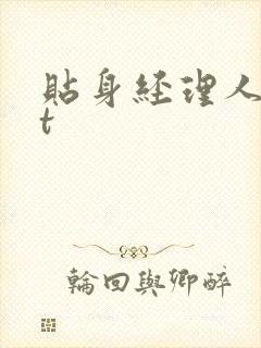 贴身经理人txt封面