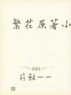 繁花原著小说