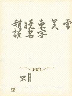 赵晓东吴雪晴小说名字